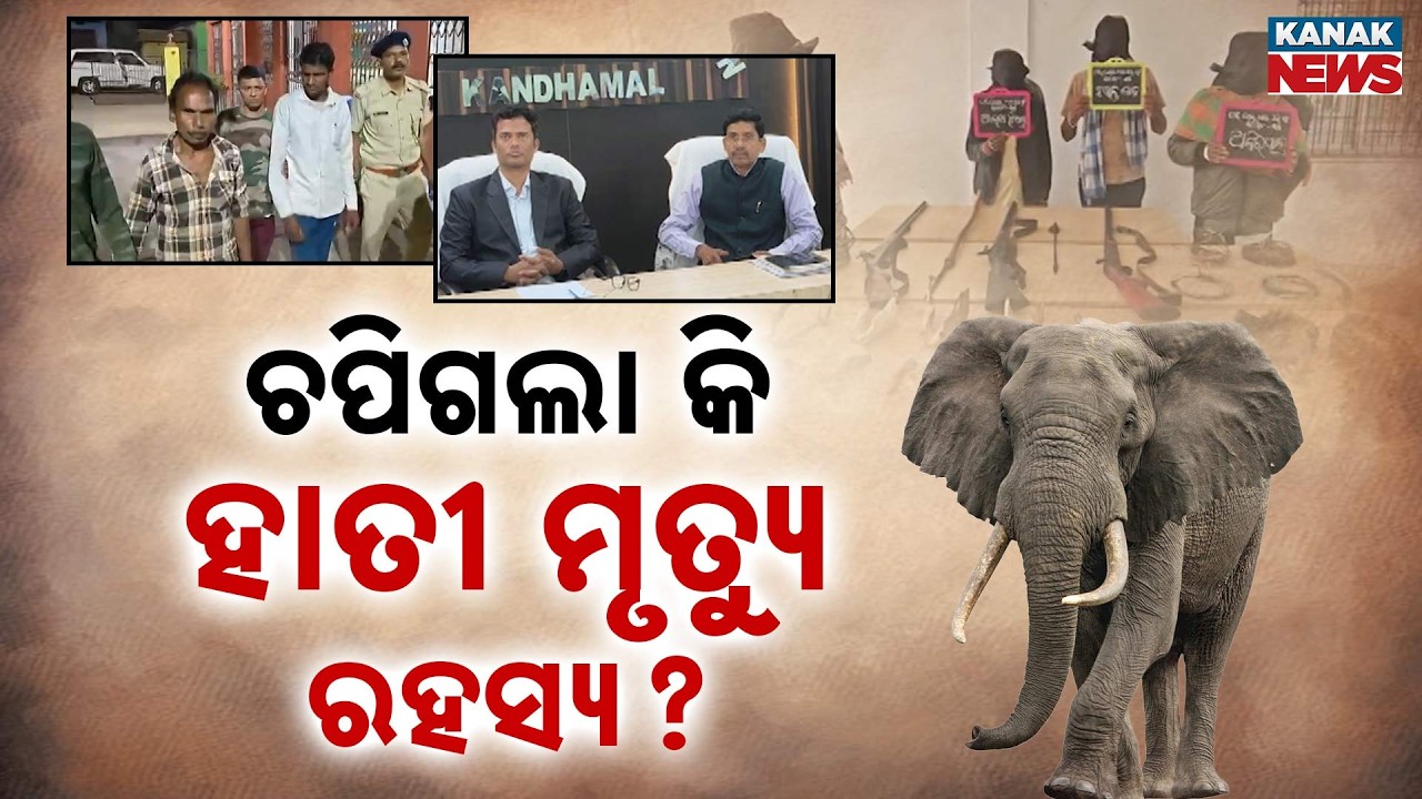 Mystery Behind Baliguda Elephant Death! | Demands Grow For SIT Investigation