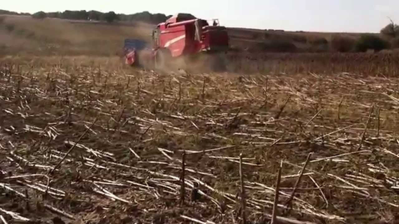 LAVERDA 255 LCS-MALKARA-KÜRTÜLLÜ KÖYÜ AYÇİÇEK BİÇİMİ