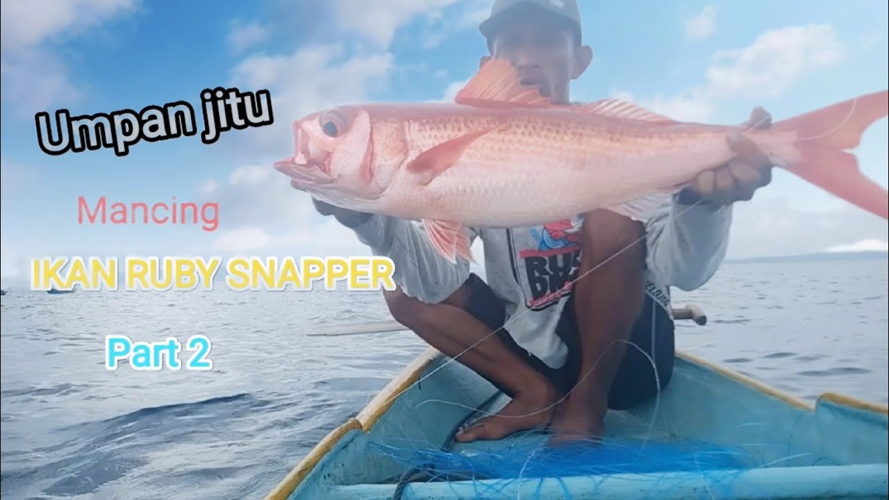 PART 2 || MANCING IKAN KURISI ( RUBY SNAPPER) || PAKAI UMPAN JITU || DI KEDALAMAN 200 METER