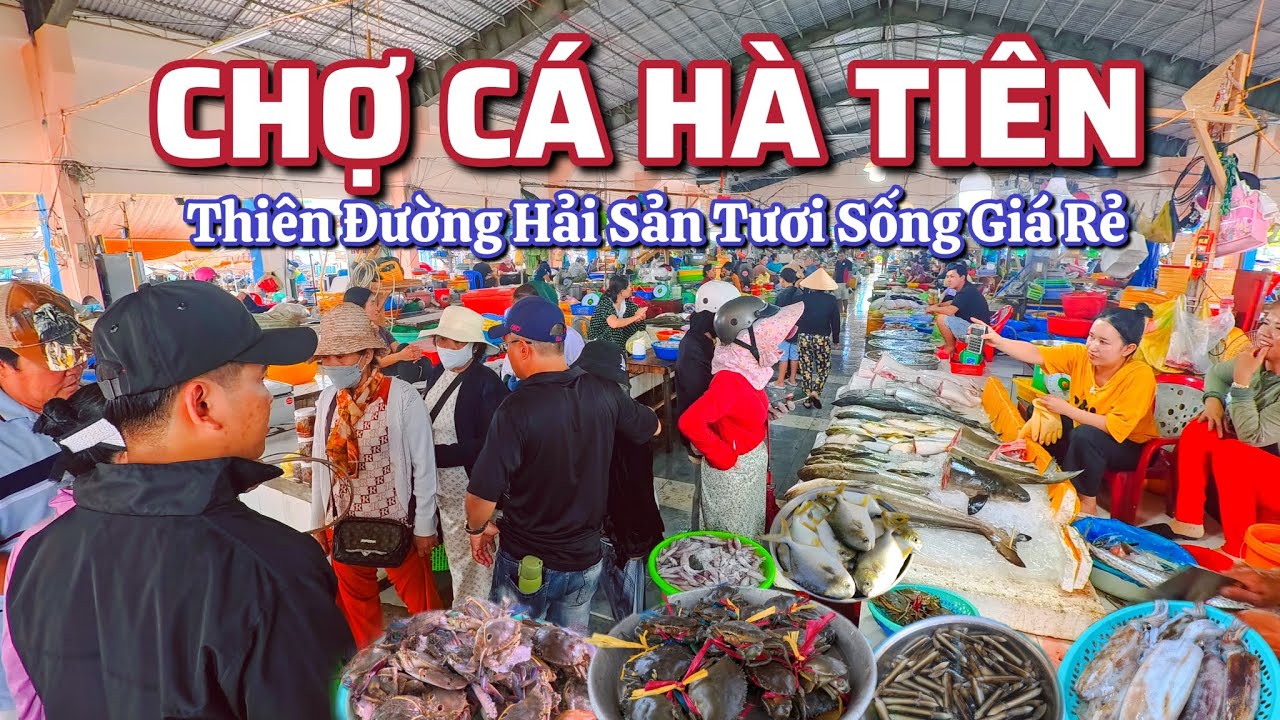 Chợ Cá Hà Tiên (Kiên Giang)  Thiên Đường Hải Sản Tươi Sống Giá Rẻ. Cua 180K/Kg, Ghẹ 120K/Kg.