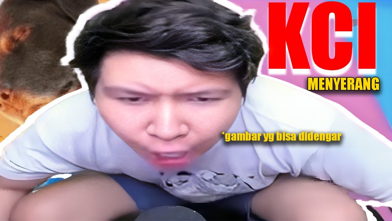 KCI MENYERANG - Momen Kocak Windah Basudara