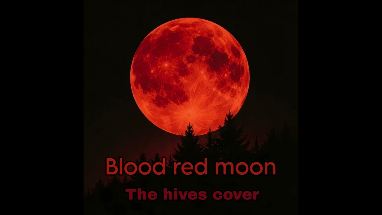 The Hives - Blood red moon (cover)