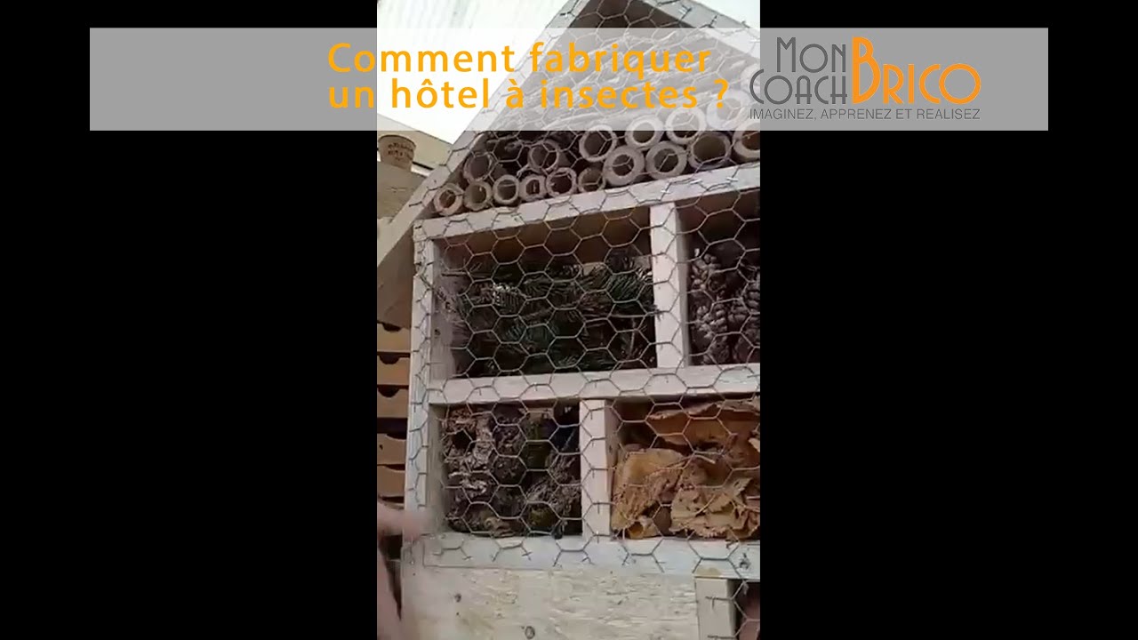 Comment fabriquer un hôtel à insectes : Conseils et astuces de Mon Coach Brico