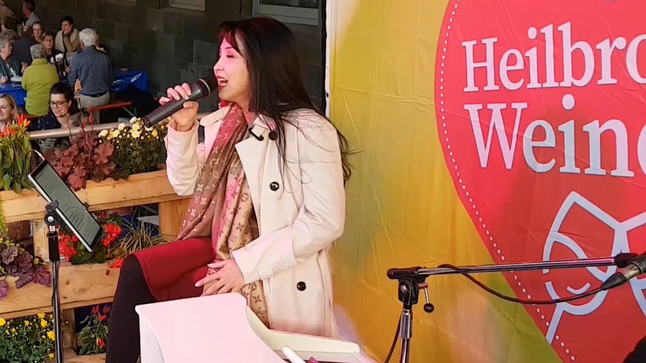 Weindorf Heilbronn 2019  www.carsten-best-musik.de