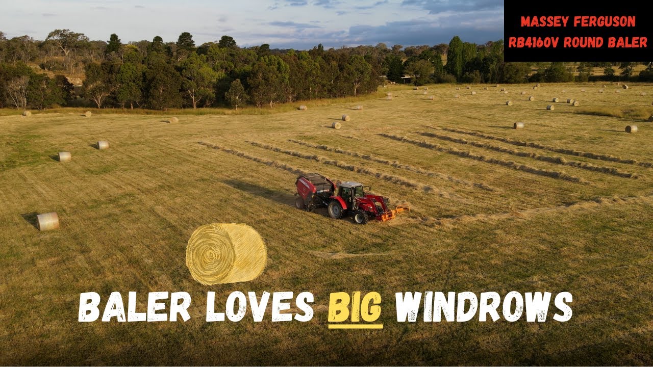 ALL BALED UP! | Baling 2nd cut Lucerne and Pasture Hay | Massey Ferguson RB4160V | Australian Farm