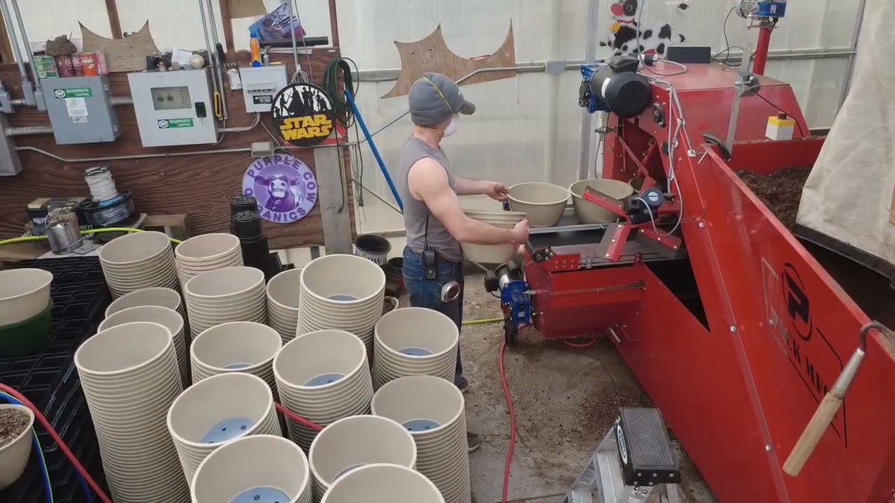 Life at the Village: Putting Down Roots (Production Week 1)