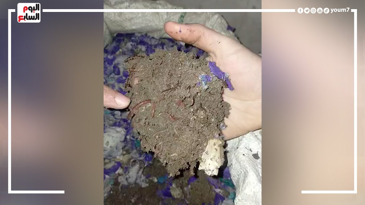 بزنس الدود بيكسب دهب.. عملوا مشروع سماد غريب من نوعه بس أرباحه مضمونة