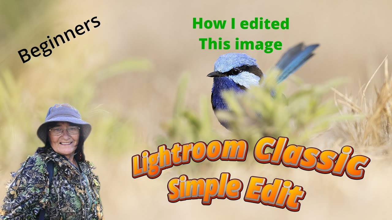 How to Edit in Lightroom Classic a Bird Photo | Simple Edit for Beginners