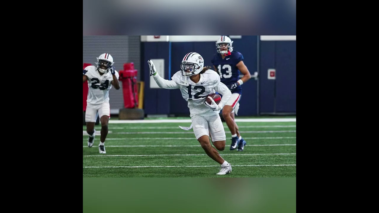 2026 Mock Las Vegas Raiders Draft 3 