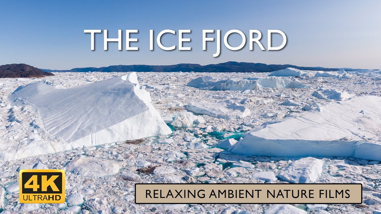 The Ice Fjord 4K | Ambient slow nature film