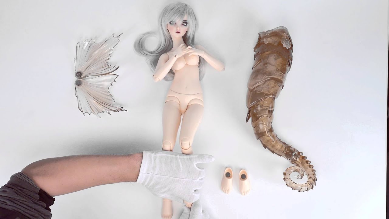 CP/Fairy Land [Fairy Line 60] Introduction