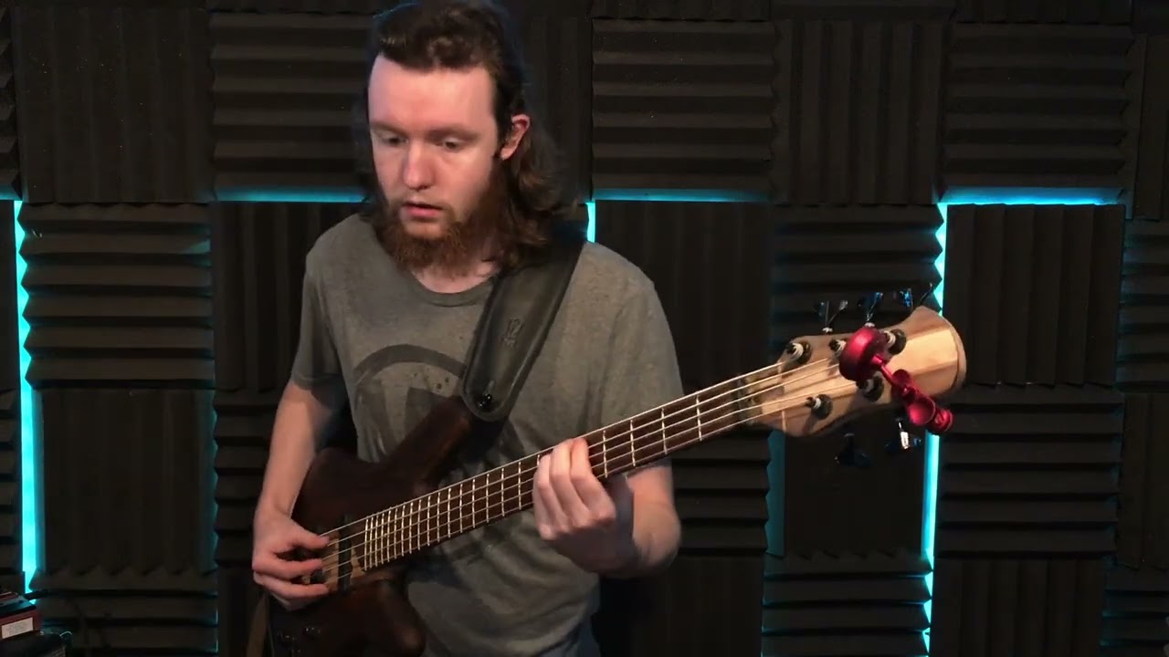Agnus Dei Bass cover