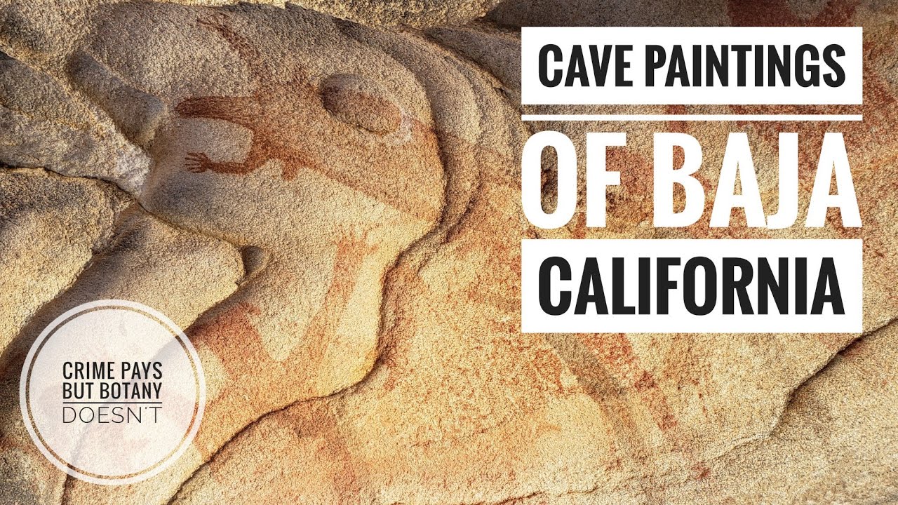 (#88) Baja Cave Paintings with Euphorbia lomelii, Stenocereus gummosus & Ficus petiolaris