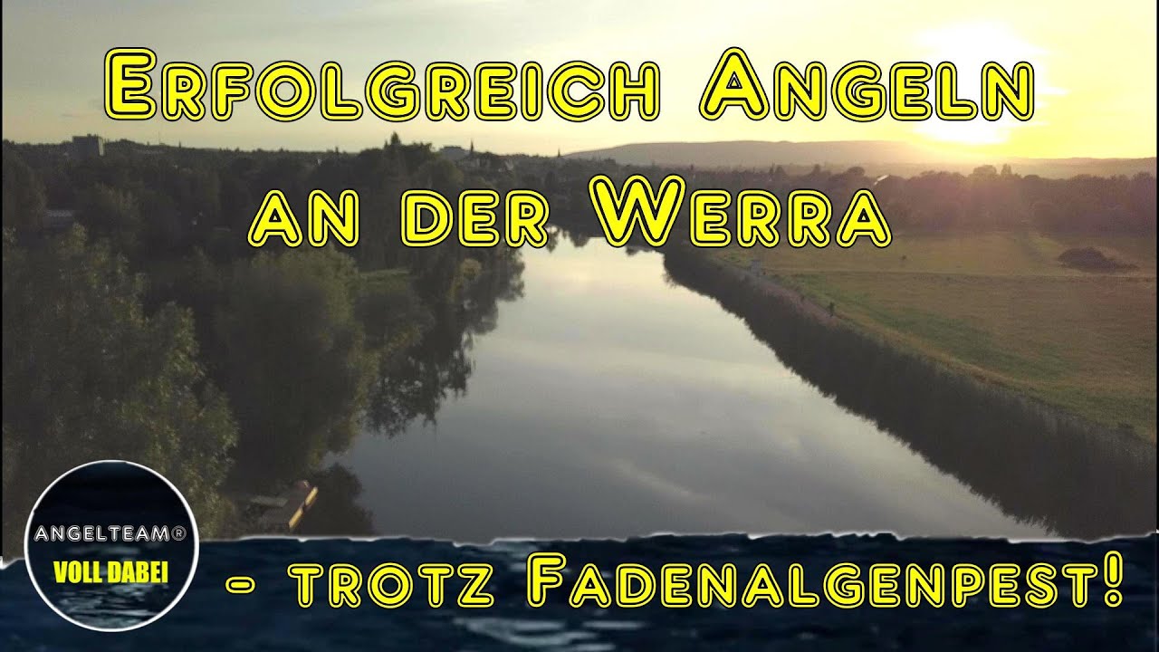Erfolgreich angeln an der Werra - trotz Algenpest