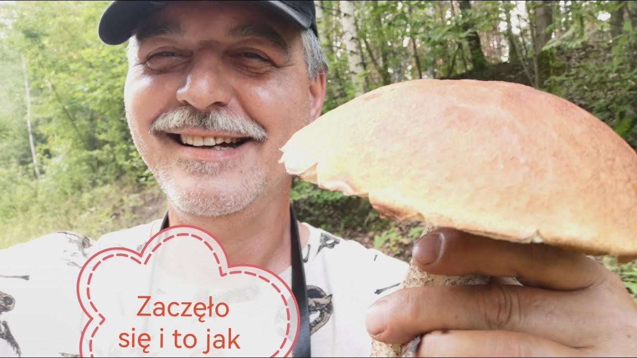 Nareszcie czerwone kozaki ruszają. Piękne młode duże.