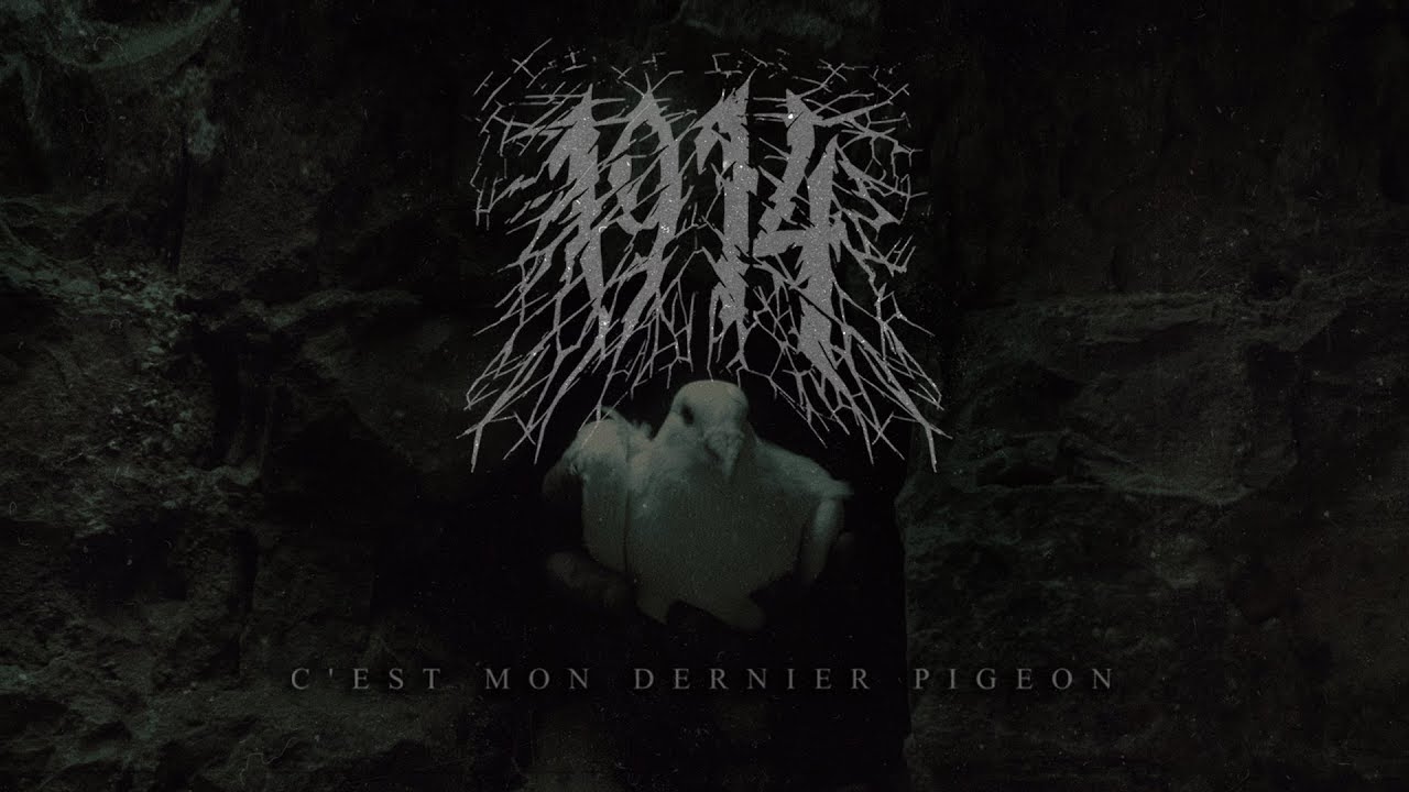 1914 - C&rsquo;est mon dernier pigeon (Official Video) | Napalm Records