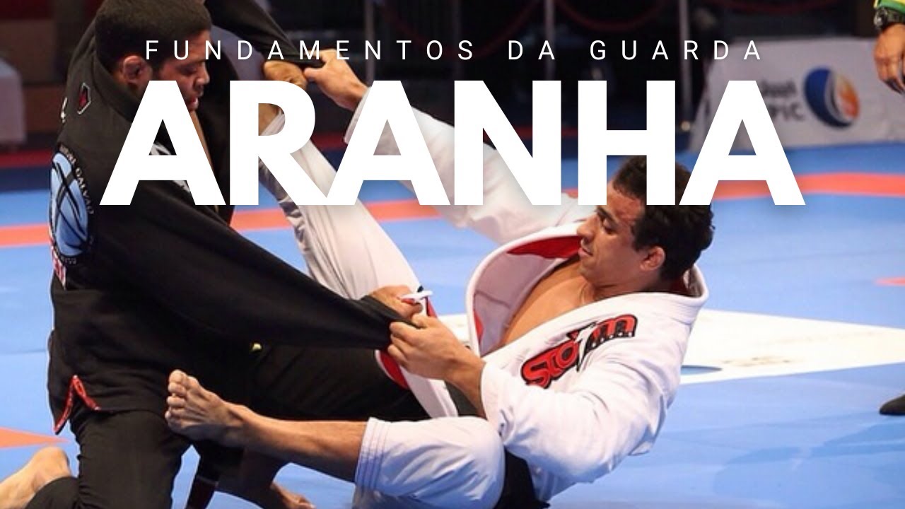 Guarda Aranha - Fundamentos e Principios