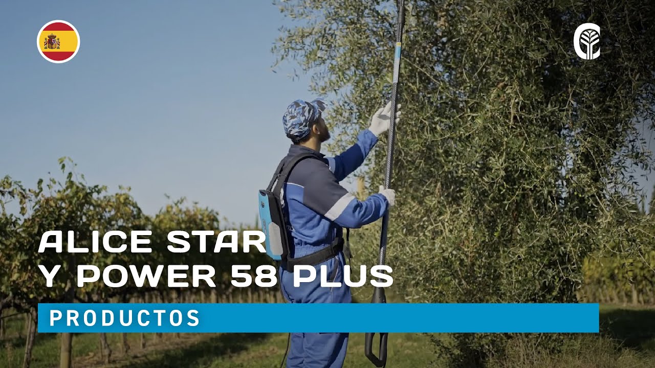 🇪🇸 Presentación de los productos: CAMPAGNOLA ALICE STAR & POWER 58 PLUS