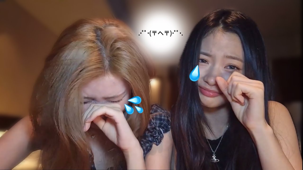 말티즈 아니고 말티푸라고…