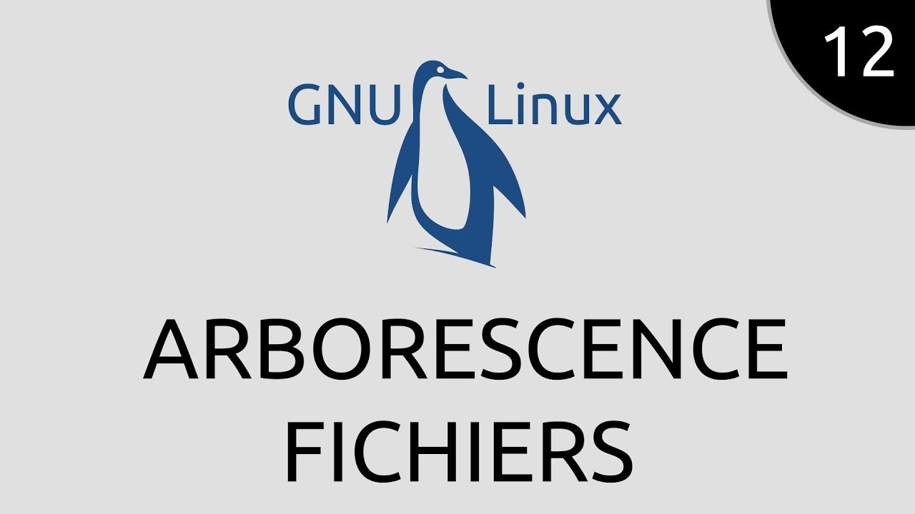 GNU/Linux #12 - arborescence fichiers