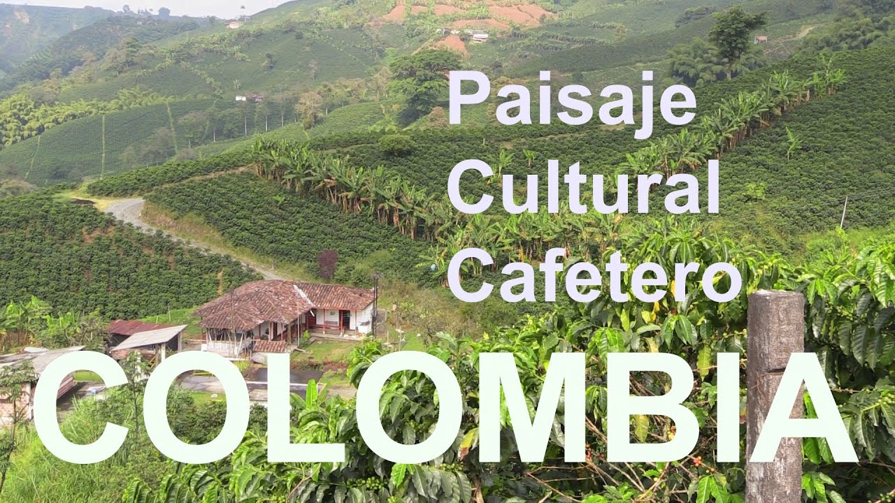Viaje por los cafetales de Colombia- QUINDÍO- RISARALDA - CALDAS