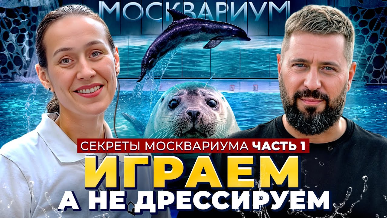 КАК ТРЕНИРУЮТ ДЕЛЬФИНОВ И НЕРП в Москвариуме: секреты тренеров, уникальные методики и трюки животных