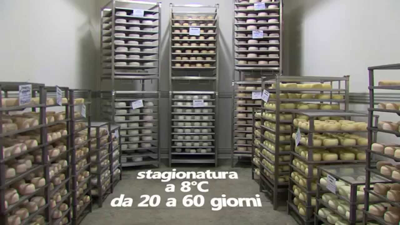 Formaggi stagionati al sale dolce di Cervia