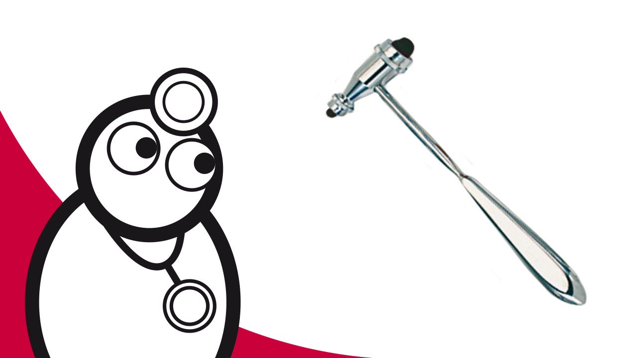 DocCheck Reflexhammer nach Troemner