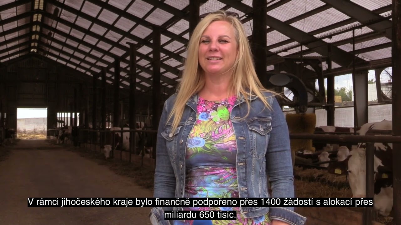 Modernizace podniku ZD Bělčice