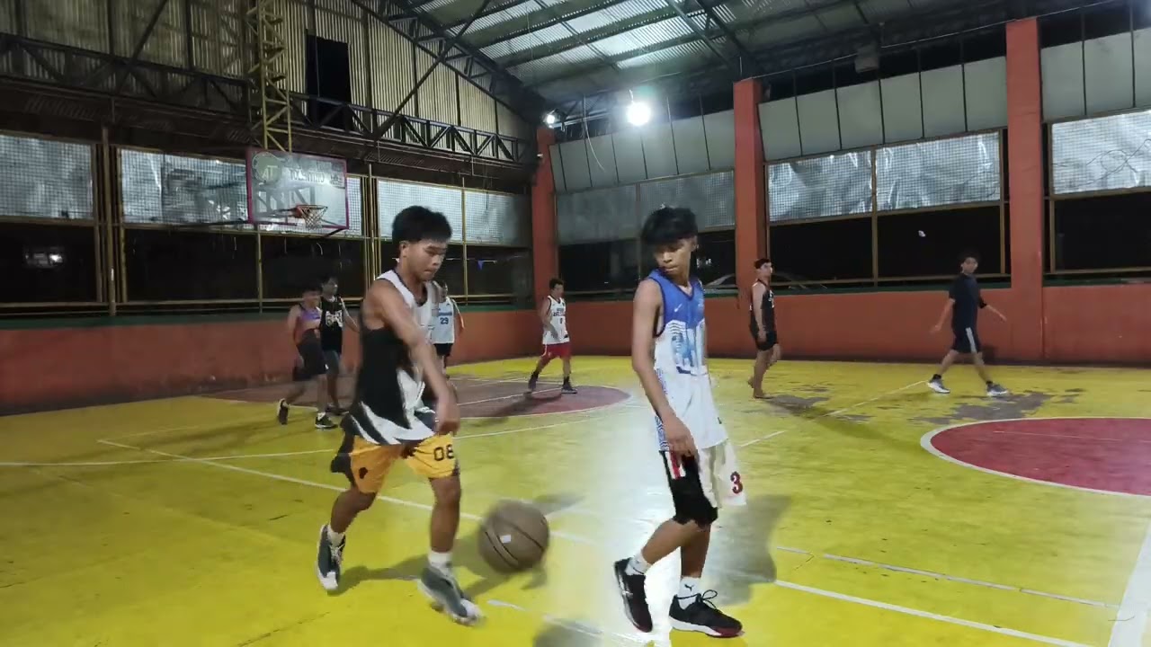 Papawis 51