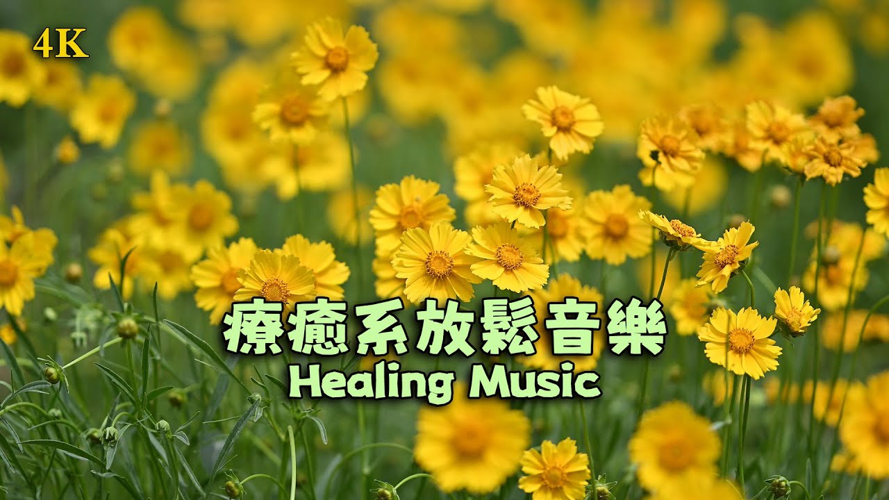 4K | 獨處音樂 | 輕音樂 | 放鬆音樂 | 鋼琴音樂| 純音樂| Light Music | 療癒系放鬆音樂 | 深層釋放壓力，享受片刻寧靜