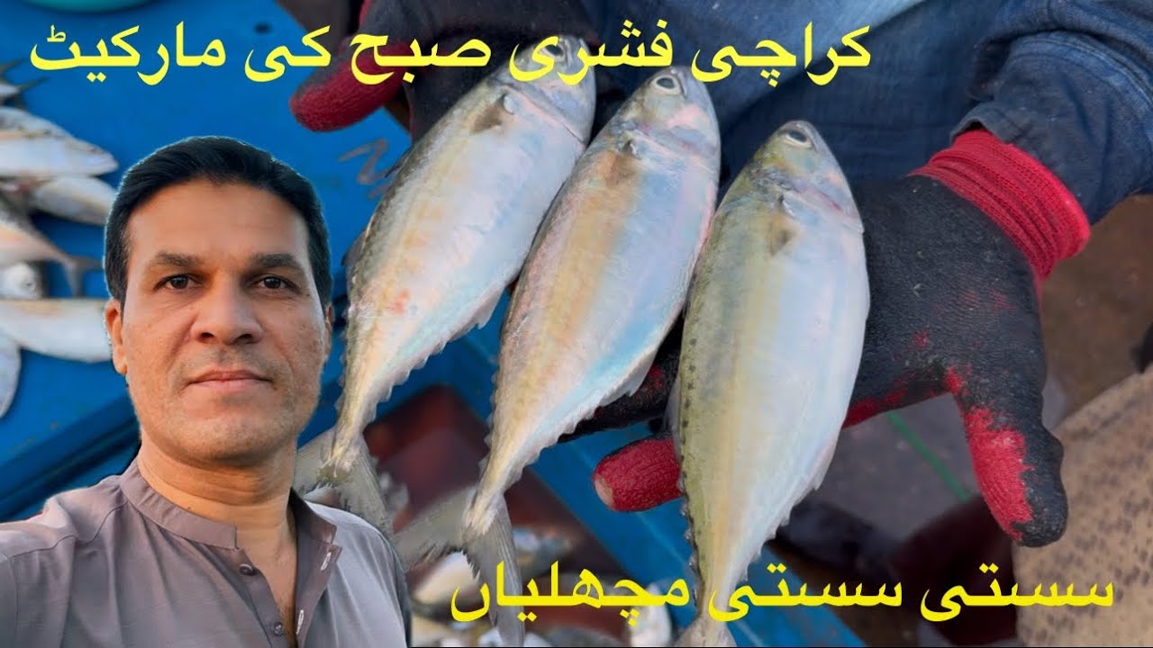 Fish price update Karachi fishri 11-2-25