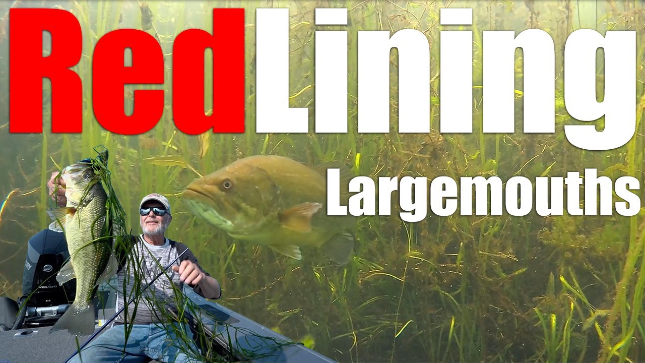 RedLining Largemouth On Weedlines