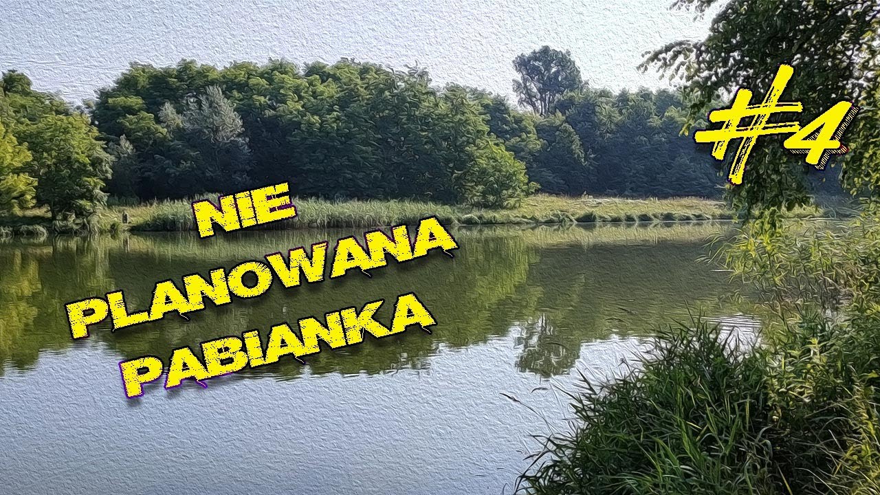 Nie planowana Pabianka/ PZW/ Vlog#4