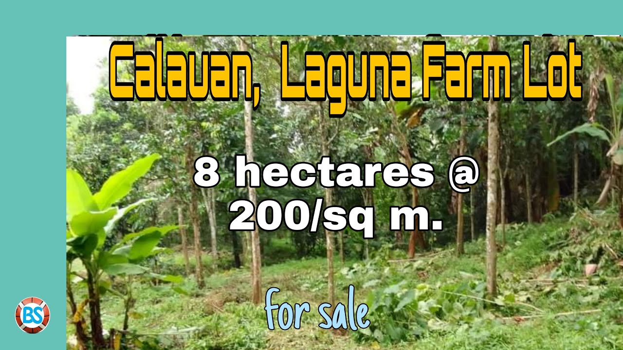 (P#20) 8 hectares @ 200/sqm in Calauan, Laguna Available for sale