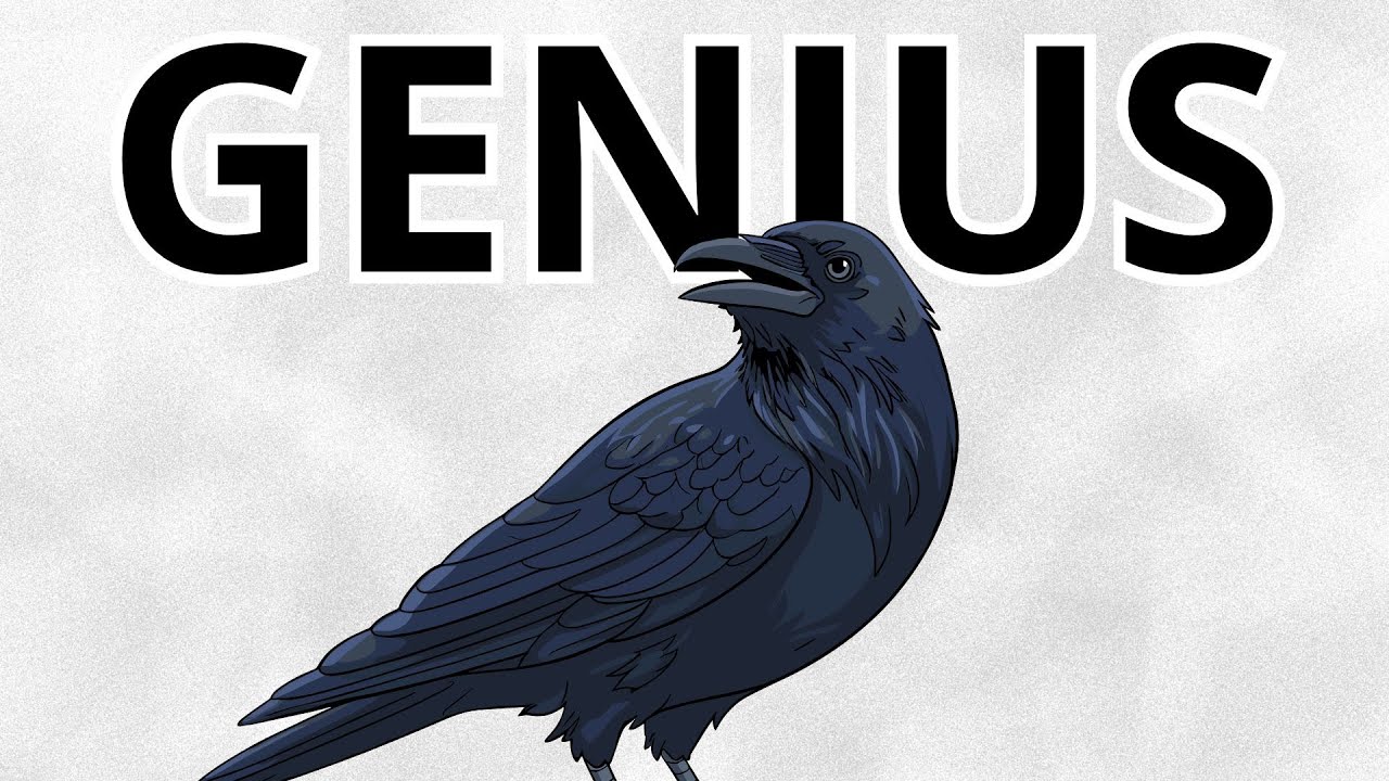 Animals That Outsmarted Humans