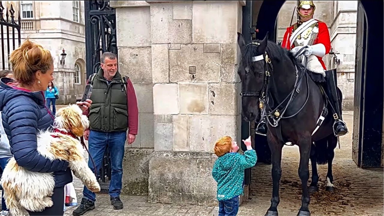 You Won’t Believe the Hilarious Things that Happened at Horse Guard’s parade!