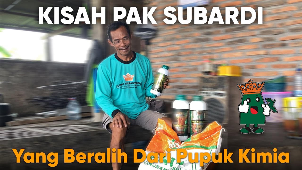 Kisah Pak Subardi: Setelah Beralih ke Pupuk Organik, Hasil Panen Padi Lebih Berat & Berkualitas!