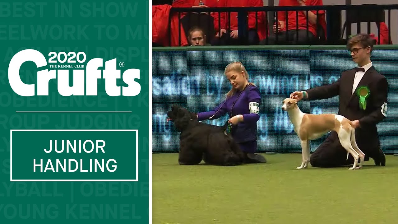 International Junior Handling Competition - Session 2- Part 2 | Crufts 2020