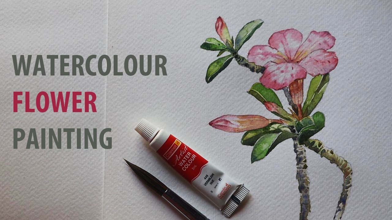 Painting a flower with watercolour | Adenium flower painting