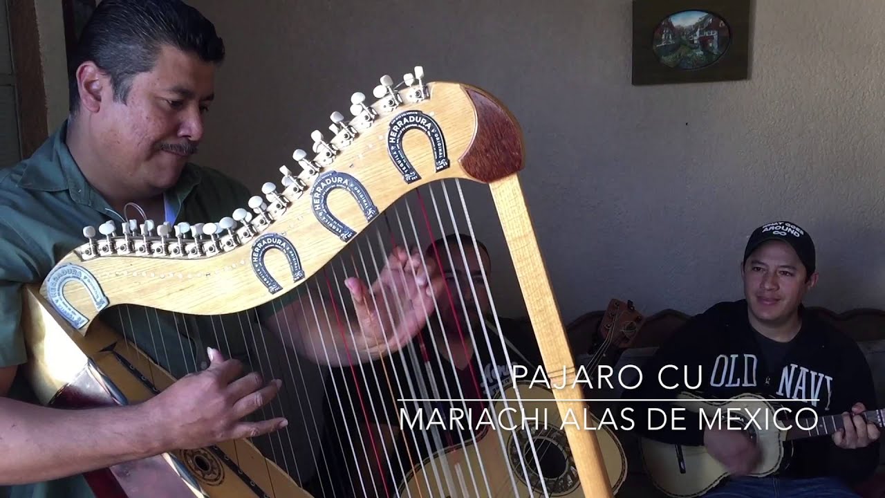 Alas de Mexico (Pajaro Cu)