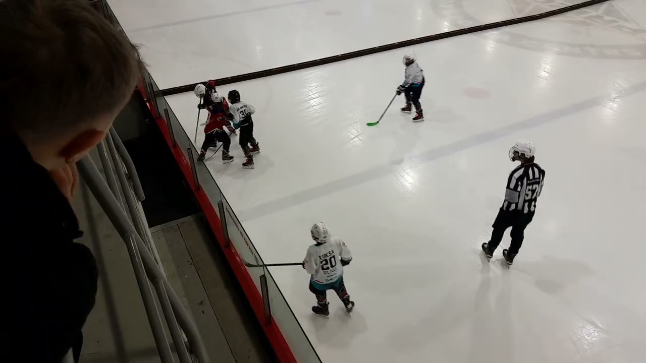 BV u11 prizma 08.03.2026