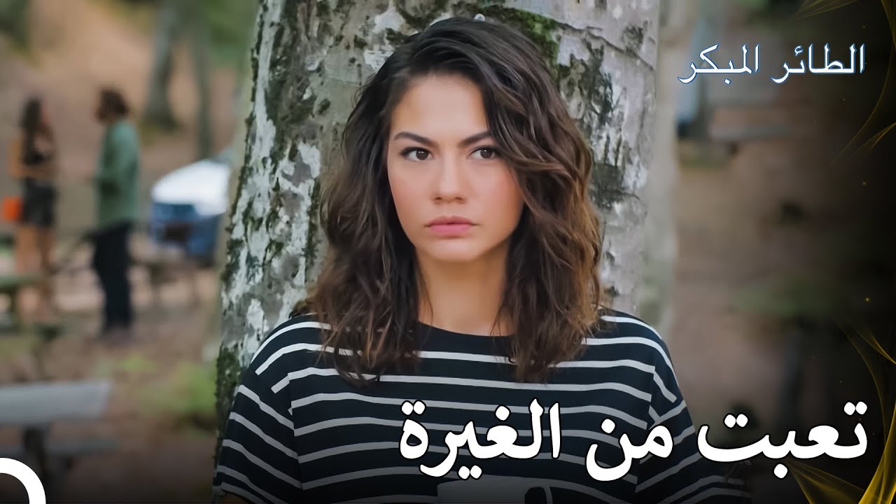 هل ستكون هذه المرأة بالقرب منك دائمًا؟ - مسلسل الطائر المبكر الحلقة 33