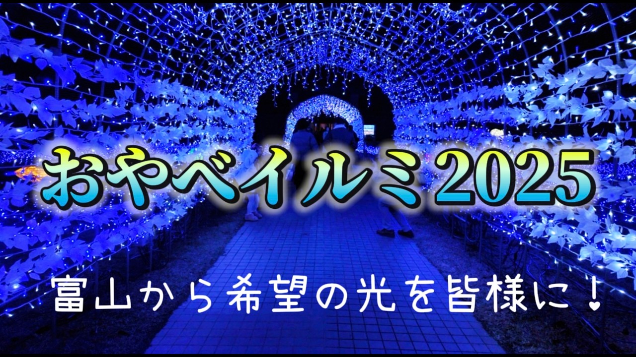 【富山から希望の光を】氷見出身者が撮る「おやべイルミ」が美しすぎる。富山県No.1
