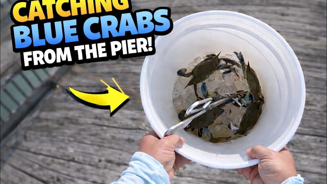 Winter crabbing in NE Florida.