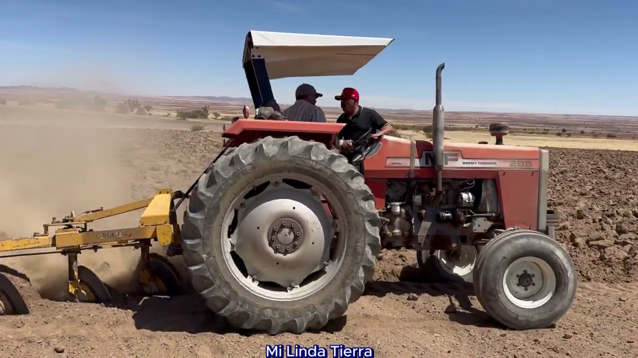 YA NO SE ALCANZA NI PARA COMPRAR EL DICEL PARA TRABAJAR LAS TIERRA