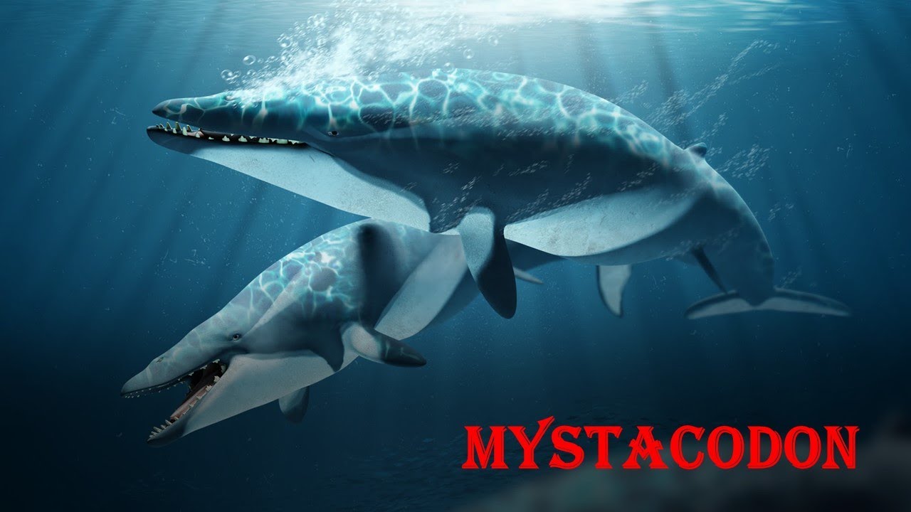 mystacodon
