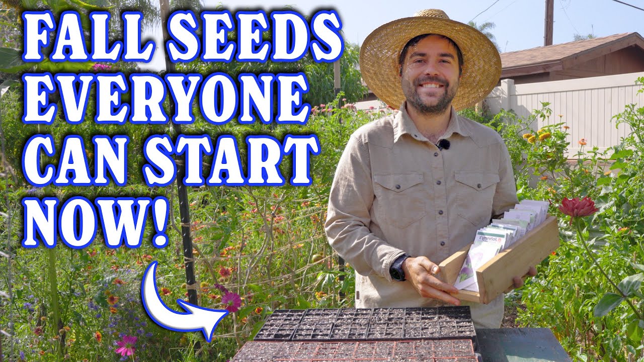Want A Fall Garden? Start These Seeds TODAY
