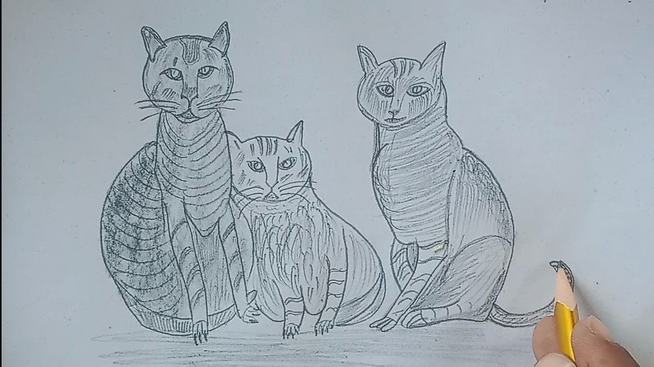 3d cats drawing with pencil || pencil drawing art || SMS Drawing || pencil sketch
