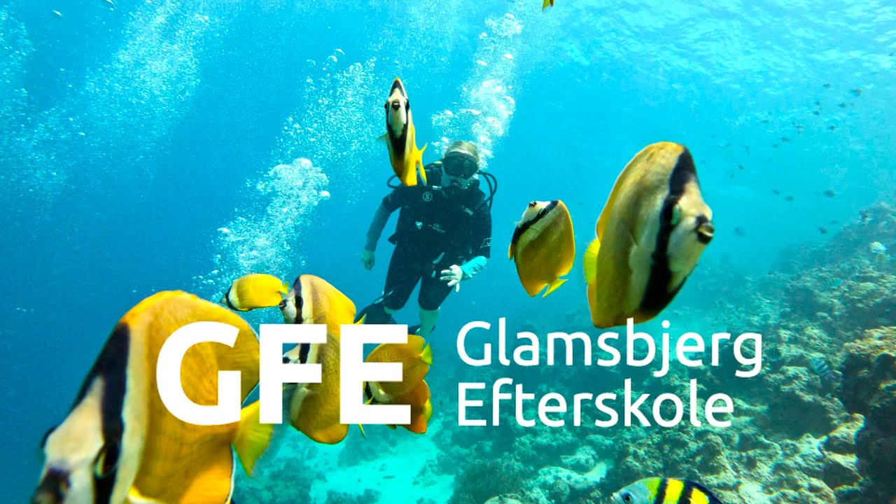 Dykkerlinjen på Zanzibar